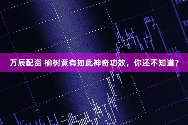 万辰配资 榆树竟有如此神奇功效，你还不知道？