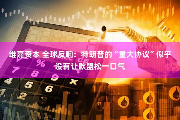 维嘉资本 全球反响：特朗普的“重大协议”似乎没有让欧盟松一口气
