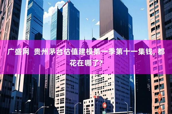 广盛网  贵州茅台估值建模第一季第十一集钱, 都花在哪了?