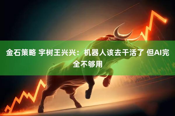 金石策略 宇树王兴兴：机器人该去干活了 但AI完全不够用