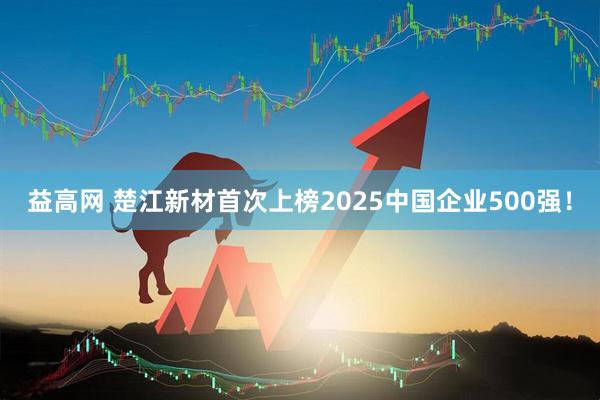 益高网 楚江新材首次上榜2025中国企业500强！