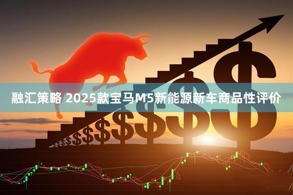 融汇策略 2025款宝马M5新能源新车商品性评价