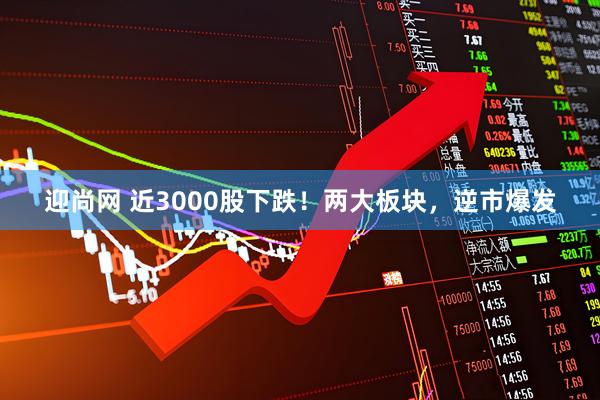 迎尚网 近3000股下跌！两大板块，逆市爆发